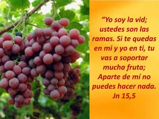 “Yo soy la vid;
ustedes son las
ramas. Si te quedas
en mi y yo en ti, tu
vas a soportar
mucha fruta;
Aparte de mí no
puedes hacer nada.
Jn 15,5
 