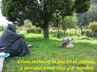 Cristo restaura la paz en el cosmos,
y amistad entre Dios y el hombre
 