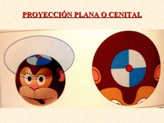 PROYECCIÓN PLANA O CENITAL 
