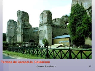 Termes de Caracal.la. Caldarium 