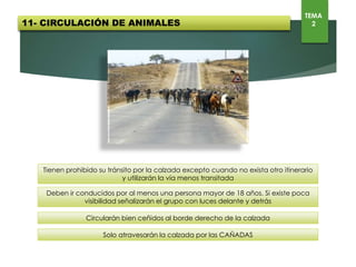 Deberán llevar dispositivo reflectante o luminoso visible a 150 metros
Los grupos dirigidos llevarán además luces blancas o amarillas hacia delante y rojas por detrás.
Circulación nocturna por arcén o calzadas de vías de fuera de poblado
TEMA
2
 