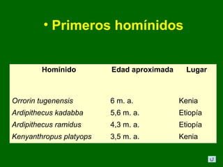 • Primeros homínidos


        Homínido         Edad aproximada     Lugar



Orrorin tugenensis       6 m. a.           Kenia
Ardipithecus kadabba     5,6 m. a.         Etiopía
Ardipithecus ramidus     4,3 m. a.         Etiopía
Kenyanthropus platyops   3,5 m. a.         Kenia
 