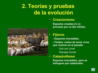 2. Teorías y pruebas
     de la evolución
          • Creacionismo
            Especies creadas en un
            principio por un Ser Infinito.


          • Fijismo
            - Especies inmutables.
            - Fósiles: restos de seres vivos
            que vivieron en el pasado.
                 Carl von Linné
                 Georges Cuvier
          • Catastrofismo
            Especies inmutables, pero se
            extinguen por catástrofes.
 