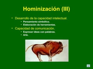 Hominización (III)
• Desarrollo de la capacidad intelectual.
      • Pensamiento simbólico.
      • Elaboración de herramientas.
• Capacidad de comunicación.
      • Expresar ideas con palabras.
      • Arte.
 