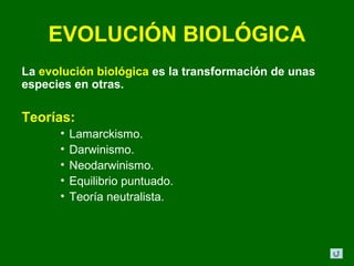 EVOLUCIÓN BIOLÓGICA
La evolución biológica es la transformación de unas
especies en otras.

Teorías:
      •   Lamarckismo.
      •   Darwinismo.
      •   Neodarwinismo.
      •   Equilibrio puntuado.
      •   Teoría neutralista.
 