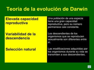 Teoría de la evolución de Darwin
Elevada capacidad    Una población de una especie
                     tiene una gran capacidad
reproductiva         reproductiva, pero su número
                     permanece casi constante.

Variabilidad de la   Los descendientes de los
                     organismos que se reproducen
descendencia         sexualmente son diferentes entre
                     sí.

Selección natural    Las modificaciones adquiridas por
                     los organismos durante su vida se
                     transmiten a sus descendientes.
 
