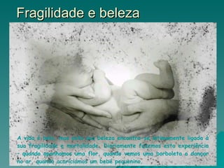 Fragilidade e beleza A vida é bela, mas esta sua beleza encontra-se intimamente ligada à sua fragilidade e mortalidade. Diariamente fazemos esta experiência – quando apanhamos uma flor, quando vemos uma borboleta a dançar no ar, quando acariciamos um bebé pequenino.  