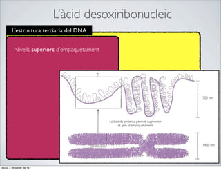 L’àcid desoxiribonucleic
        L’estructura terciària del DNA


          Nivells superiors d’empaquetament




                                                                                     700 nm




                                              La bastida proteica permet augmentar
                                                    el grau d’empaquetament




                                                                                     1400 nm




dijous 3 de gener de 13
 