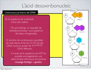 L’àcid desoxiribonucleic
                                                         Extrem 5’
        L’estructura primària del DNA
                                                                       A
         És la seqüència de nucleòtids                               Adenina

                d’una sola cadena

                   S’hi pot distingir un esquelet de                       G
                 fosfodesoxiriboses i una seqüència                     Guanina
                        de bases nitrogenades

           El nombre de combinacions possibles                        T
           és molt elevat. Amb els 5,9.109 pb del                          Timina
           DNA humà es poden fer 45.600.000.000
                      DNA diferents
                    A través de la seqüència de NTP és                     C
                        possible emmagatzemar una                              Citosina
                    determinada informació, la’nomenat
                        missatge biològic o genètic
                                                            OH
                                                                           Extrem 3’

dijous 3 de gener de 13
 