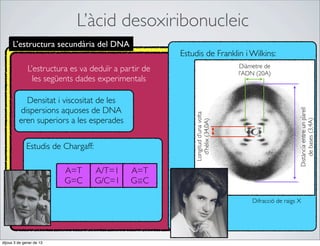 L’àcid desoxiribonucleic
      L’estructura secundària del DNA
                                                      Estudis de Franklin i Wilkins:
                                                                                 Diàmetre de
              L’estructura es va deduïr a partir de                              l’ADN (20A)
                les següents dades experimentals

           Densitat i viscositat de les
         dispersions aquoses de DNA




                                                                                                        Distància entre un parell
                                                          Longitud d’una volta
         eren superiors a les esperades




                                                                                                            de bases (3,4A)
                                                            d’hèlix (34,0A)
             Estudis de Chargaff:

                          A=T       A/T=1    A=T
                          G=C       G/C=1    G=C

                                                                                     Difracció de raigs X




dijous 3 de gener de 13
 
