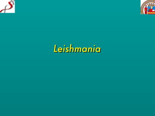 Leishmania 
