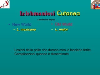 Leishmaniosi   Cutanea New World L. mexicana Old World L. major Lesioni della pelle che durano mesi e lasciano ferite.  Complicazioni quando è disseminata Leishmania tropica 
