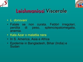 Leishmaniosi  Viscerale L. donovani Fatale se non curata. Febbri irregolari, perdita di peso, spleno/epatomegalia, anemia. Kala Azar o malattia nera In S. America, Asia e Africa Epidemie in Bangladesh, Bihar (India) e Sudan 