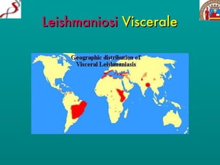 Leishmaniosi   Viscerale 