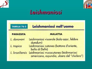 Leishmaniosi 