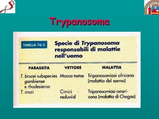 Trypanosoma 