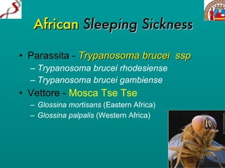 African   Sleeping Sickness Parassita -  Trypanosoma brucei  ssp Trypanosoma brucei rhodesiense Trypanosoma brucei gambiense Vettore -  Mosca Tse Tse   Glossina mortisans  (Eastern Africa) Glossina palpalis  (Western Africa) 
