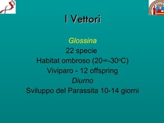 I Vettori Glossina 22 specie  Habitat ombroso (20°-30 o C) Viviparo - 12 offspring Diurno Sviluppo del Parassita 10-14 giorni 