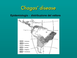 Chagas' disease Epidemiologia -  distribuzione del vettore 