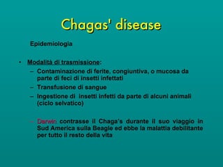 Chagas' disease Epidemiologia Modalità di trasmissione : Contaminazione di ferite, congiuntiva, o mucosa da parte di feci di insetti infettati Transfusione di sangue Ingestione di  insetti infetti da parte di alcuni animali (ciclo selvatico) Darwin  contrasse il Chaga’s durante il suo viaggio in Sud America sulla Beagle ed ebbe la malattia debilitante per tutto il resto della vita 