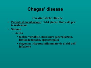 Chagas' disease Caratteristiche cliniche Periodo di incubazione :  5-14 giorni; fino a 40 per transfusione Sintomi Acuta febbre variabile, malessere generalizzato, limfoadenopatia, epatomegalia ciagoma:  risposta inflammatoria ai siti dell’ infezione 