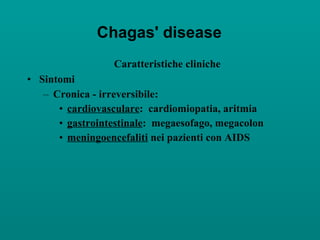 Chagas' disease Caratteristiche cliniche Sintomi Cronica - irreversibile: cardiovasculare :  cardiomiopatia, aritmia gastrointestinale :  megaesofago, megacolon meningoencefaliti  nei pazienti con AIDS 