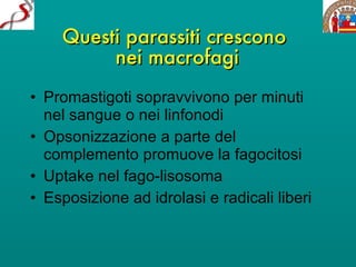 Questi parassiti crescono  nei macrofagi Promastigoti sopravvivono per minuti nel sangue o nei linfonodi Opsonizzazione a parte del complemento promuove la fagocitosi  Uptake nel fago-lisosoma Esposizione ad idrolasi e radicali liberi 