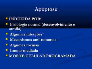 Apoptose
 INDUZIDA POR:
 Fisiologia normal (desenvolvimento e
atrofia)
 Algumas infecções
 Mecanismos anti-tumorais
 Algumas toxinas
 Imuno-mediada
 MORTE CELULAR PROGRAMADA
 