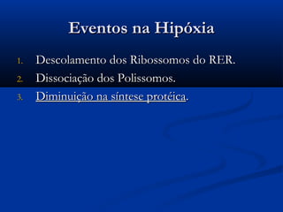 Eventos na HipóxiaEventos na Hipóxia
1.1. Descolamento dos Ribossomos do RER.Descolamento dos Ribossomos do RER.
2.2. Dissociação dos Polissomos.Dissociação dos Polissomos.
3.3. Diminuição na síntese protéicaDiminuição na síntese protéica..
 