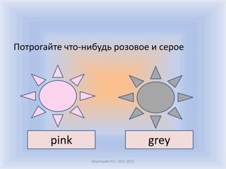Потрогайте что-нибудь розовое и серое




        pink                                grey
                 Воронцова Н.С. 2011-2012
 