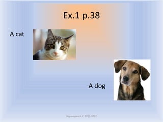 Ex.1 p.38
A cat




                         A dog



        Воронцова Н.С. 2011-2012
 