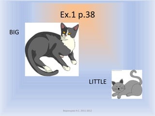 Ex.1 p.38
BIG




                           LITTLE



      Воронцова Н.С. 2011-2012
 