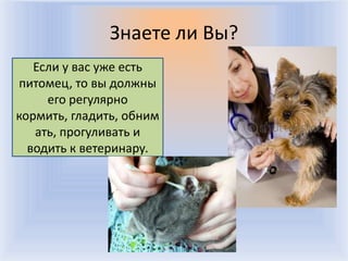 Знаете ли Вы?
   Если у вас уже есть
питомец, то вы должны
     его регулярно
кормить, гладить, обним
   ать, прогуливать и
  водить к ветеринару.




                    Воронцова Н.С. 2011-2012
 