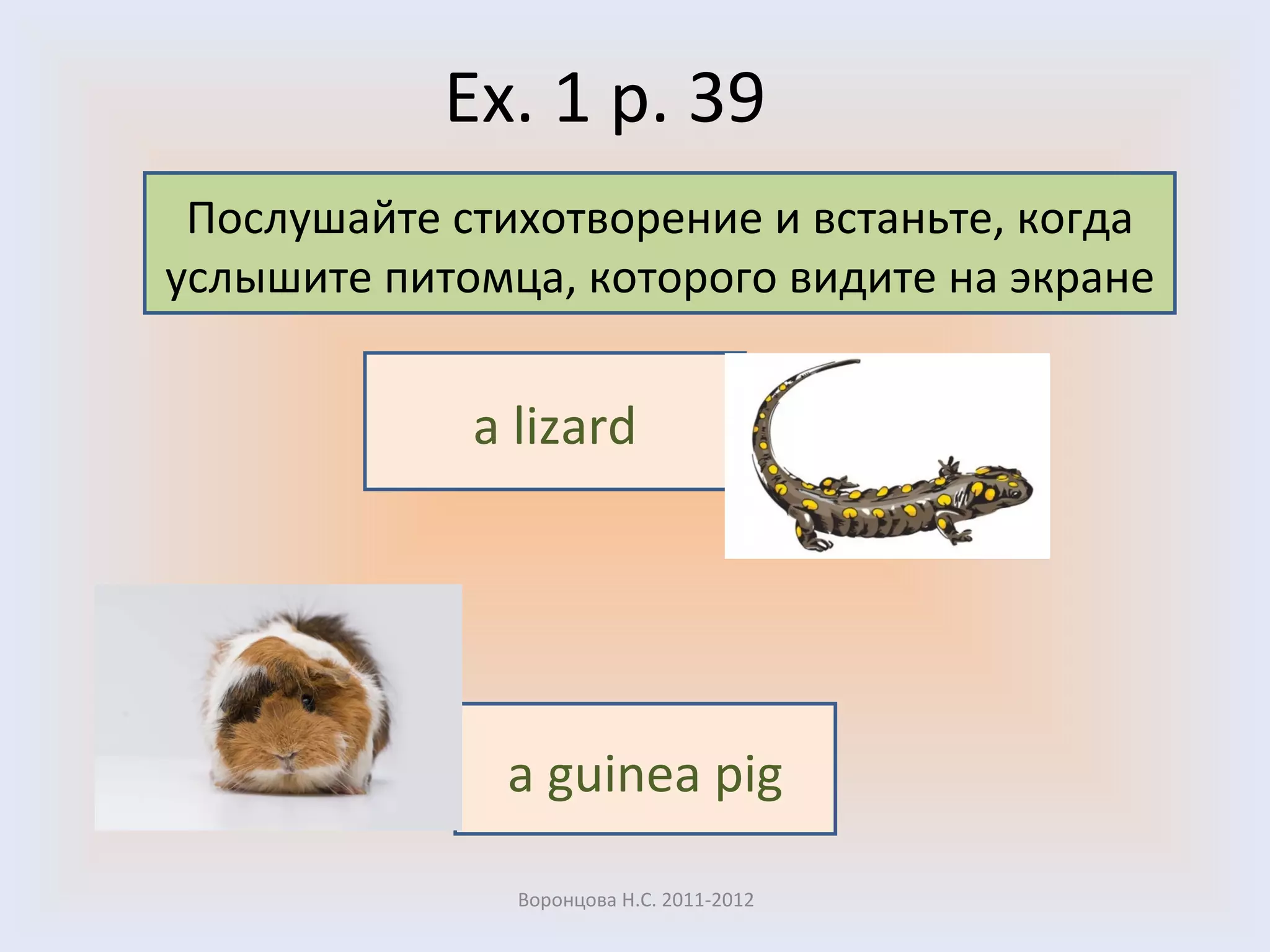 Ex. 1 p. 39 Воронцова Н.С. 2011-2012 Послушайте стихотворение и встаньте, когда услышите питомца, которого видите на экране a lizard a guinea pig 