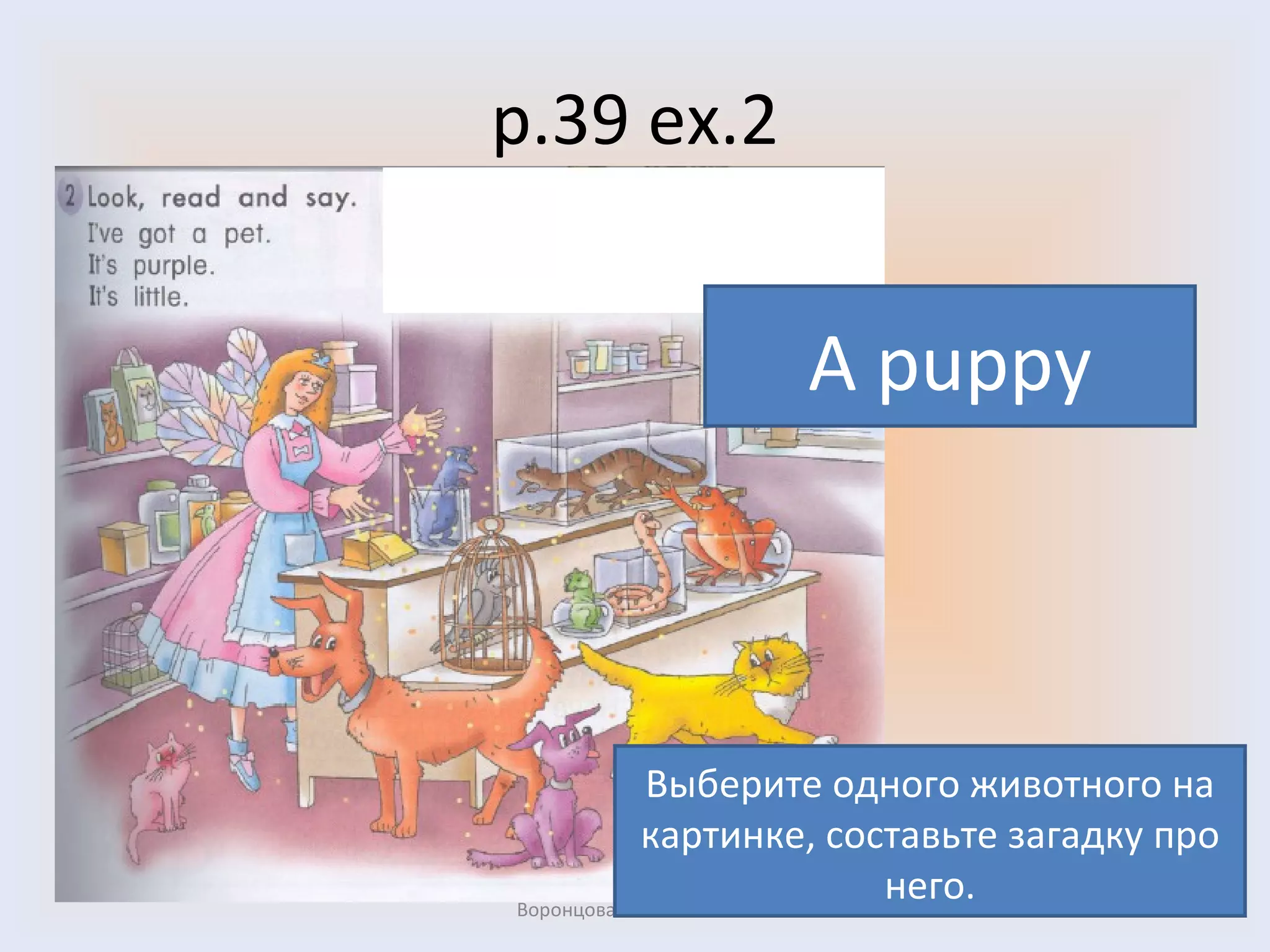 p.39 ex.2 Воронцова Н.С. 2011-2012 A puppy Выберите одного животного на картинке, составьте загадку про него. 