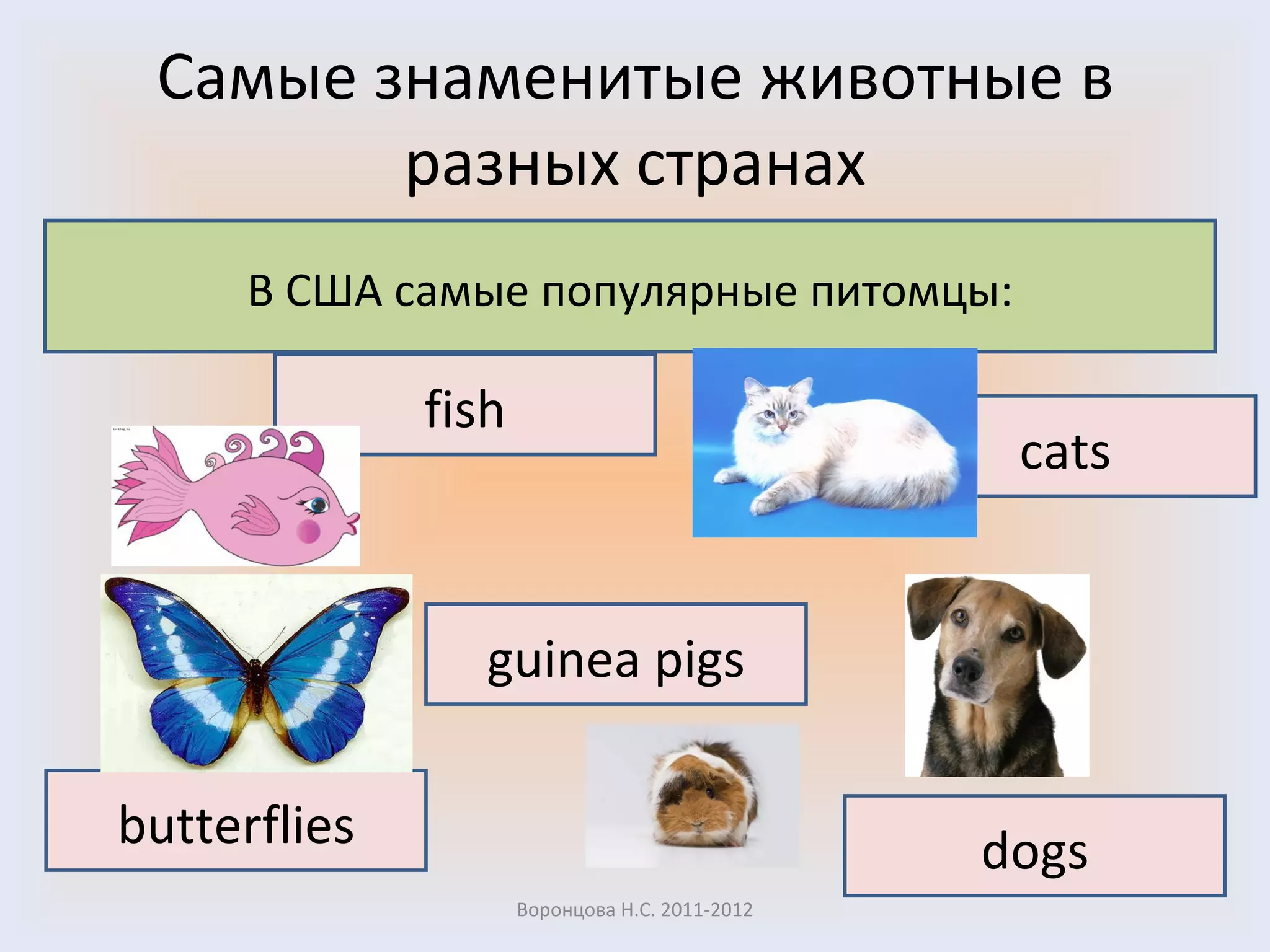 Самые знаменитые животные в разных странах Воронцова Н.С. 2011-2012 В США самые популярные питомцы : fish cats butterflies dogs guinea pigs 
