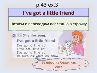 p.43 ex.3 Воронцова Н.С. 2011-2012 Читаем и переводим последнюю строчку I’ve got a little friend Её шёрстка белая как снег 