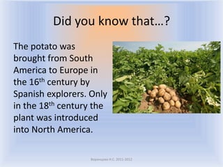 Did you know that…?
The potato was
brought from South
America to Europe in
the 16th century by
Spanish explorers. Only
in the 18th century the
plant was introduced
into North America.

                  Воронцова Н.С. 2011-2012
 