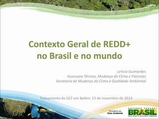 Contexto Geral de REDD+ no Brasil e no mundo 
Leticia Guimarães 
Assessora Técnica, Mudança do Clima e Florestas 
Secretaria de Mudança do Clima e Qualidade Ambiental 
Treinamento do GCF em Belém, 13 de novembro de 2014 
 