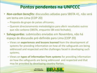 •Non-carbon benefits: discussões adiadas para SBSTA 41, não será um tema em Lima (COP 20) 
–Proposta do grupo de países africanos; 
–Querem direcionamento metodológico para aferir resultados outros que não carbono (SBSTA, enquanto SBI está fechado); 
•Salvaguardas: submissões enviadas em Novembro, não há espaço de discussão pré-definido para Lima (COP 20) 
–Views on experiences and lessons learned from the development of systems for providing information on how all the safeguards are being addressed and respected and the challenges faced in developing such systems; 
–Views on types of information from systems for providing information on how the safeguards are being addressed and respected and that may be provided by developing country Parties. 
Pontos pendentes na UNFCCC  