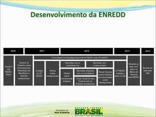 2010 2014 
Grupos de 
Trabalho sobre 
Financiamento, 
Repartição de 
Benefícios e 
Arranjos 
Institucionais 
Criado o 
site 
REDD+ 
Brasil 
2011 
Criação 
do GT 
REDD+ 
Oficina 
sobre 
salvaguardas 
GT REDD+ 
entrega o 
texto ao GEx 
Revisão do 
texto com 
base no 
Marco de 
Varsóvia 
para REDD+ 
2012 2013 
Revisão do 
texto pelo 
GEx 
Formulação da Estratégia Nacional de REDD+ pelo GT REDD+ 
Reuniões com a 
sociedade civil 
Oficina 
sobre 
componente 
indígena 
Reuniões bilaterais 
com os ministérios 
Força Tarefa do Gov. 
Federal com os 
Estados Amazônicos 
Reuniões com 
o setor privado 
Painel Técnico 
sobre Sistema 
de Informações 
sobre 
Salvaguardas 
Desenvolvimento da ENREDD 
 