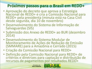 Próximos passos para o Brasil em REDD+ 
•Aprovação do decreto que aprova a Estratégia Nacional de REDD+ e cria a Comissão Nacional para REDD+ pela presidenta (minuta está na Casa Civil desde segunda, dia 10 de novembro) 
•Desenvolvimento do Sistema de Informação de Salvaguardas (SIS) 
•Submissão dos Anexo de REDD+ ao BUR (dezembro 2014) 
•Desenvolvimento do Sistema Modular de Monitoramento de Ações de Redução de Emissão (SMMARE) para a Amazônia e Cerrado (2015) 
•Criação da Comissão Nacional para REDD+ 
•Definição pela Comissão Nacional para REDD+ de critérios e diretrizes para captação e distribuição de recursos de pagamentos por resultados REDD+  