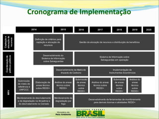 Cronograma de Implementação 
20162017201820192020 Captação e alocação de recursos Submissão de níveis de referência à UNFCCCElaboração de anexo técnico sobre REDD+ Submissão de anexo técnico sobre REDD+ Análise do anexo técnico sobre REDD+ Submissão de anexo técnico sobre REDD+ Análise do anexo técnico sobre REDD+ Implementação de Instrumentos Econômicos MRV Monitoramento do desmatamento e da degradação na Amazônia e do desmatamento no CerradoDesenvolvimento de ferramentas de monitoramento para demais biomas e atividades REDD+ Coordenação de políticas públicas 2014Gestão da alocação de recursos e distribuição de benefíciosDesenvolvimento do Sistema de Informação sobre SalvaguardasSistema de Informação sobre Salvaguardas em operação2015Análise do anexo técnico sobre REDD+ Monitoramento da degradação por fogoDesenvolvimento da Matriz de Impacto de CarbonoDefinição de critérios para captação e alocação de recursos  