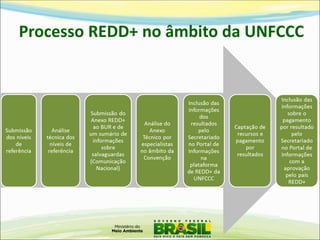 Processo REDD+ no âmbito da UNFCCC  