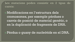  Modificacions en l’estructura dels
 cromosomes, per exemple pèrdues o
 canvis de posició de material genètic, o
 en la duplicació de fragments de DNA.

 Pèrdua   o guany de nucleòtids en el DNA.
 