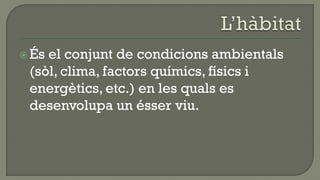  Ésel conjunt de condicions ambientals
 (sòl, clima, factors químics, físics i
 energètics, etc.) en les quals es
 desenvolupa un ésser viu.
 