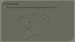 L’evolucionisme
   Els éssers vius han anat evolucionant al llarg de la història de la Terra.
 