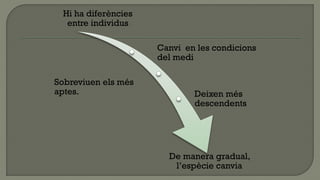 Hi ha diferències
  entre individus

                     Canvi en les condicions
                     del medi

Sobreviuen els més
aptes.                       Deixen més
                             descendents




                       De manera gradual,
                        l’espècie canvia
 