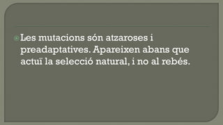  Lesmutacions són atzaroses i
 preadaptatives. Apareixen abans que
 actuï la selecció natural, i no al rebés.
 