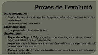    Paleontològiques
    • Fòssils: Reconstrucció d’espècies: Ens permet saber d’on provenen i com han
      evolucionat.
    • Trobar un Avantpassat comú
   Embriològiques
    • Comparació de diferents embrions
   Anatòmiques
    • Òrgans homòlegs  Malgrat que les extremitats tinguin funcions diferents,
      tenen una estructura interna semblant:
    • Òrgans anàlegs  Estructura interna totalment diferent, malgrat que la funció
      és bàsicament la mateixa.
    • Òrgans vestigials  No fan cap funció, són les reses d’òrgans d’avantpassats,
      que eren funcionals.
 